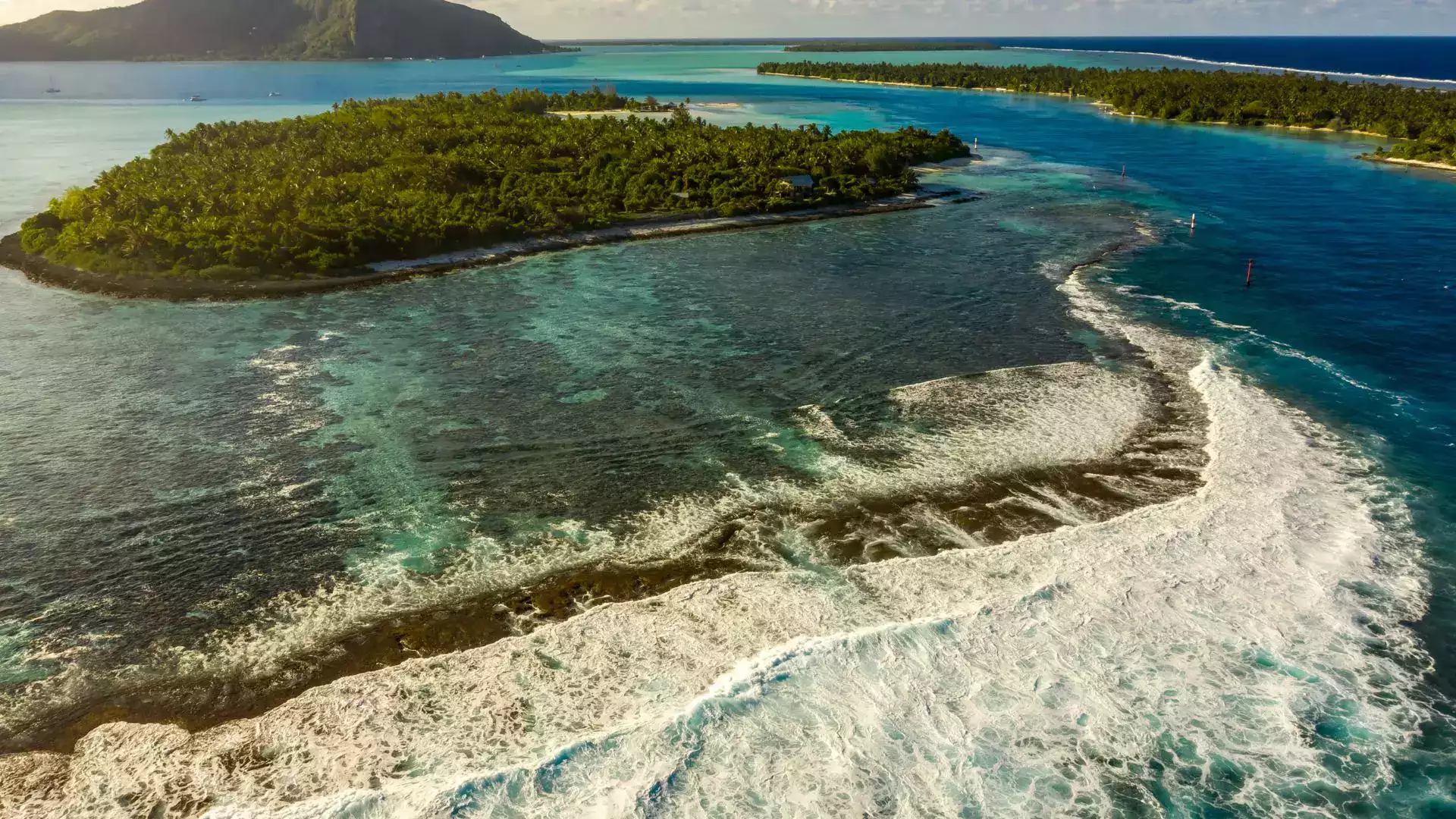 Maupiti pass lagoon snorkeling French Polynesia