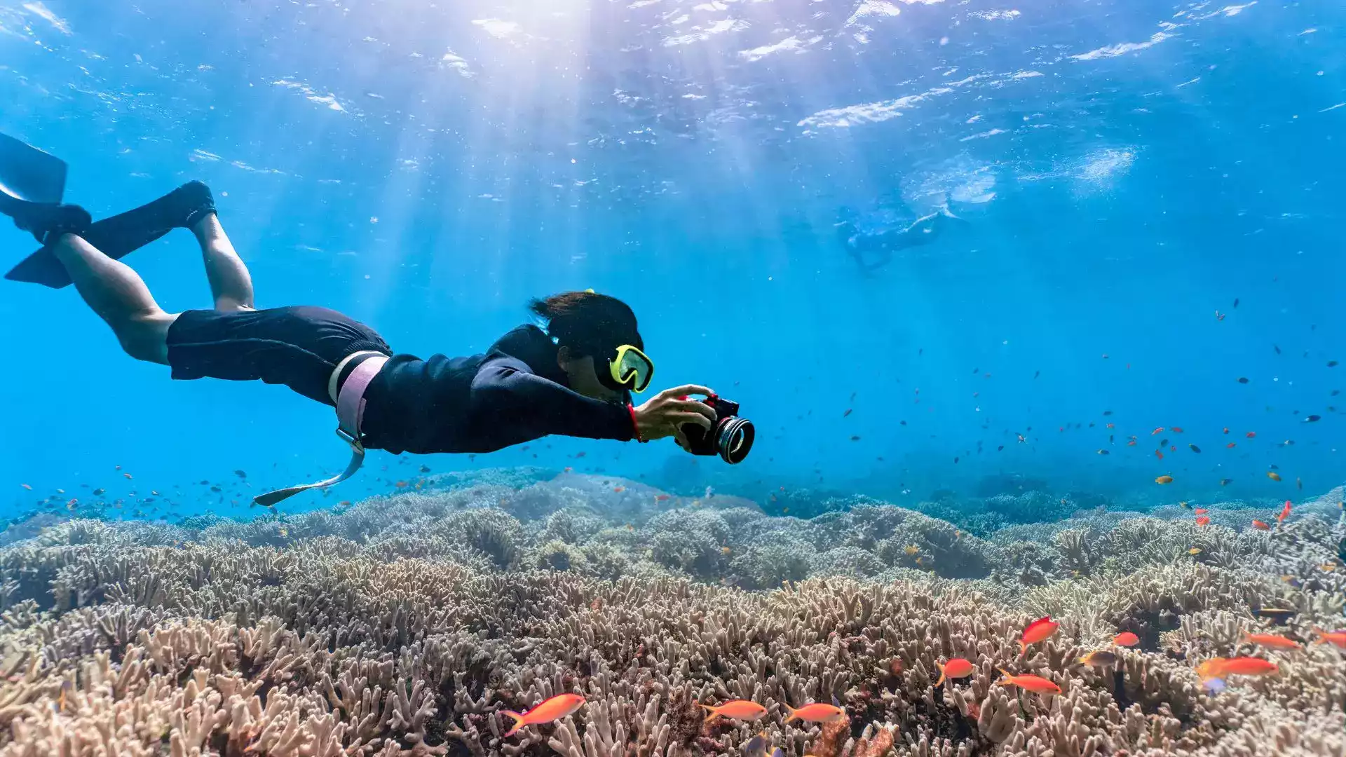 Apnée freediving Polynésie française stage