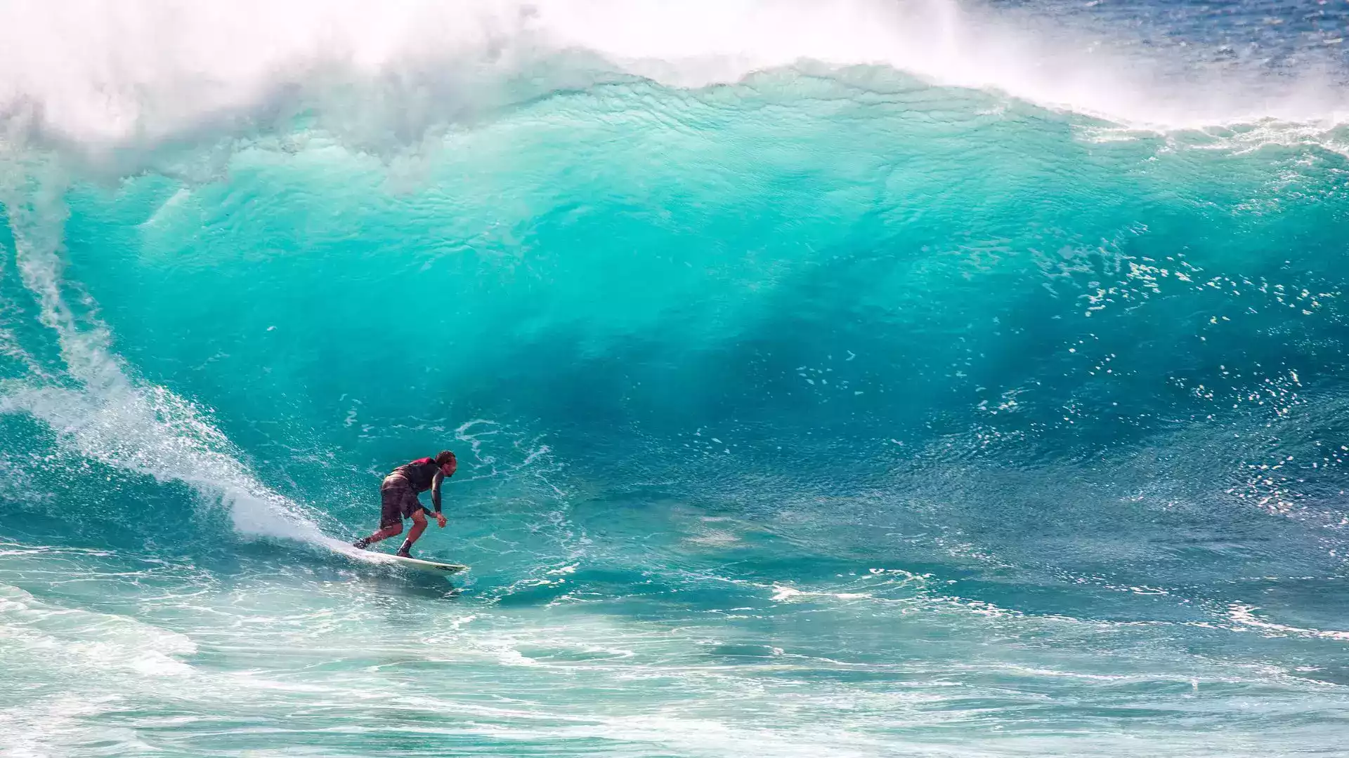 Surfer Tahiti Teahupo'o wave boat tour peninsula