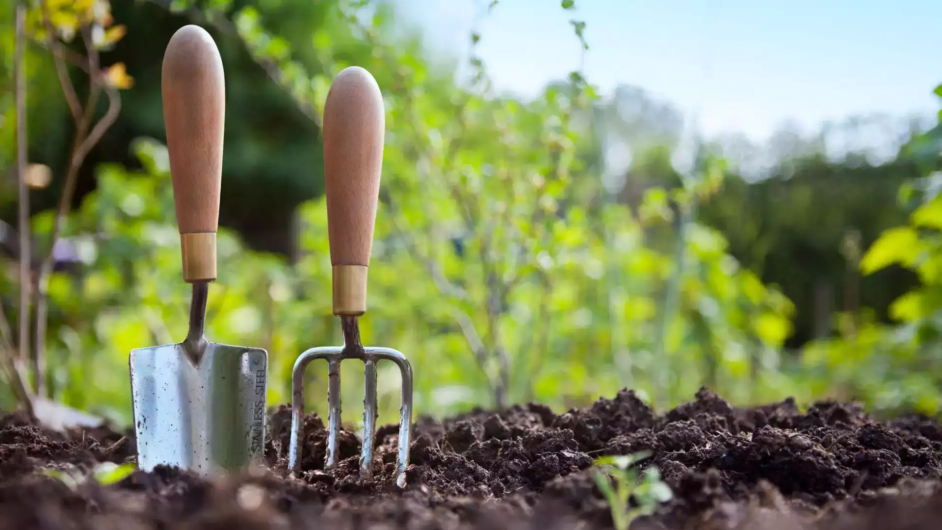 Woofing jardinage Polynésie française entraide habitant