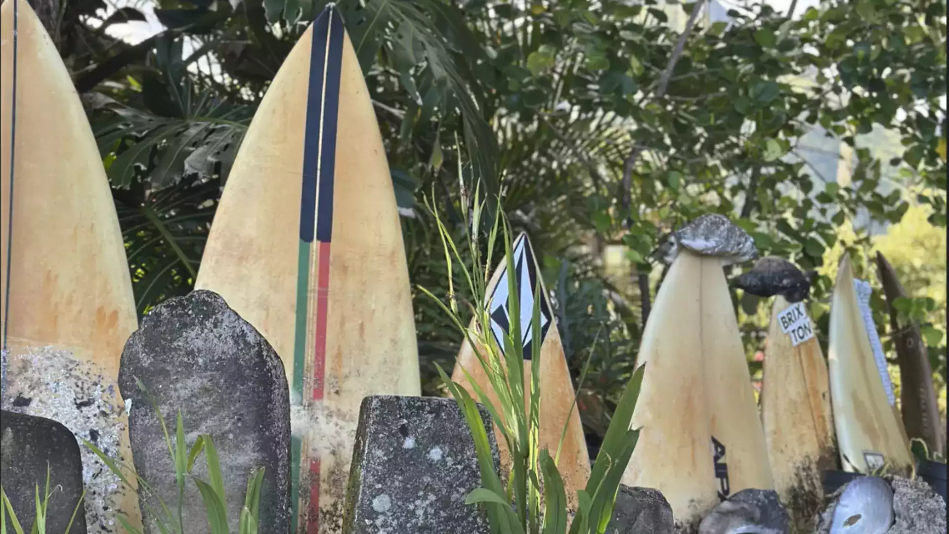 Surf Tahiti Teahupo'o spots Polynésie