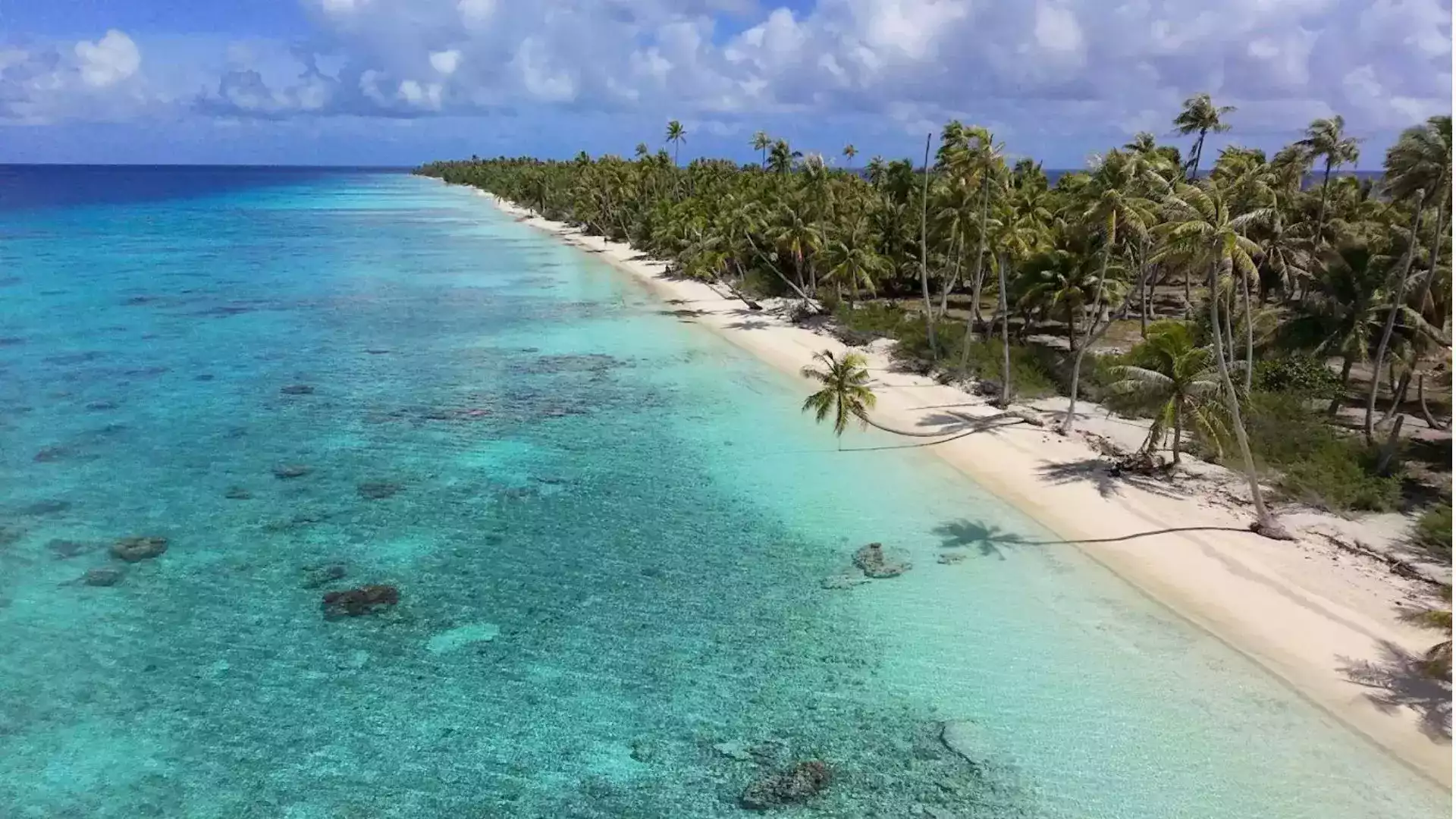 Fakarava PK9 beach snorkeling lagoon Tuamotu French Polynesia