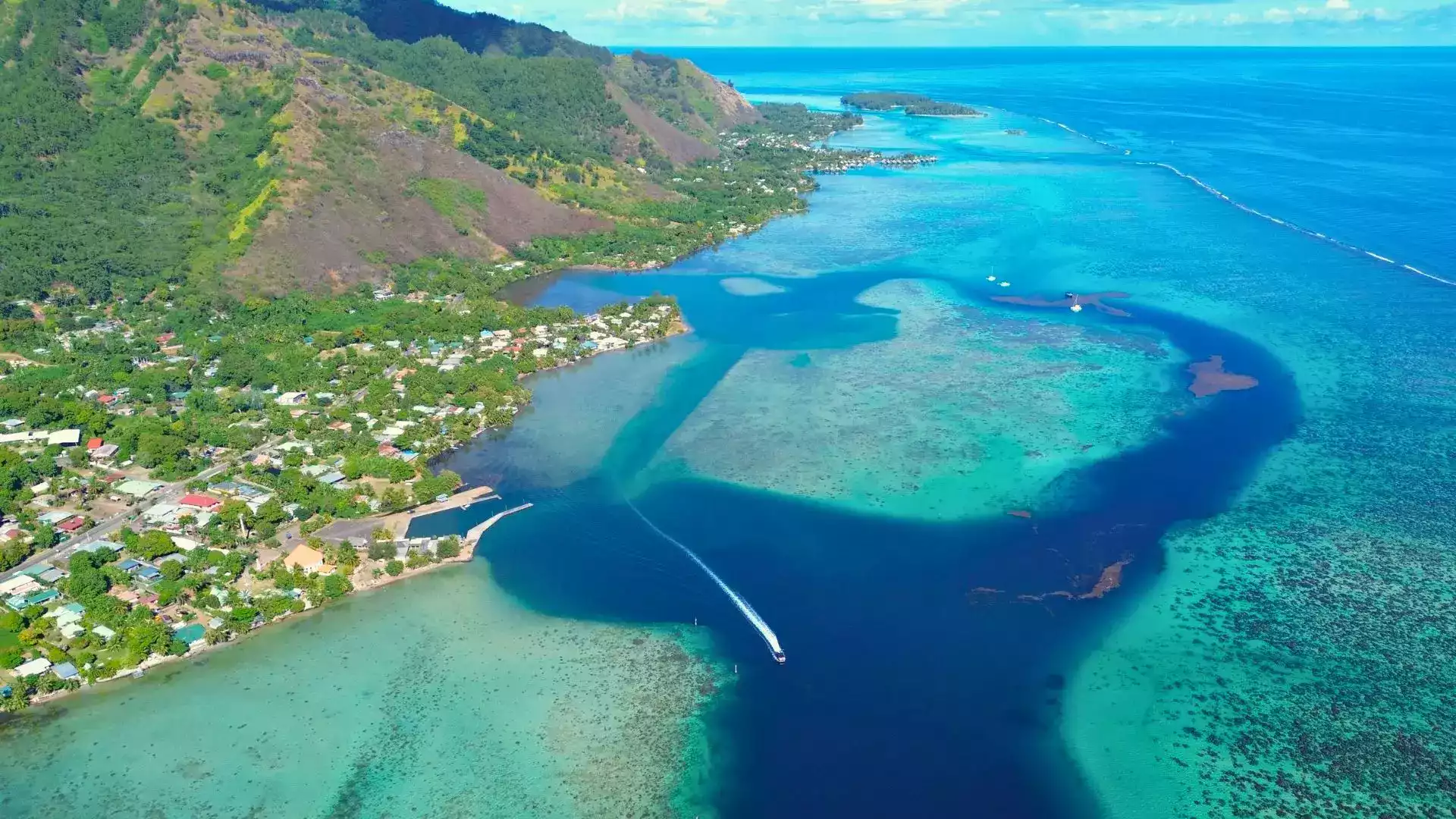 Moorea lagoon tour rays sharks snorkeling turtles French Polynesia
