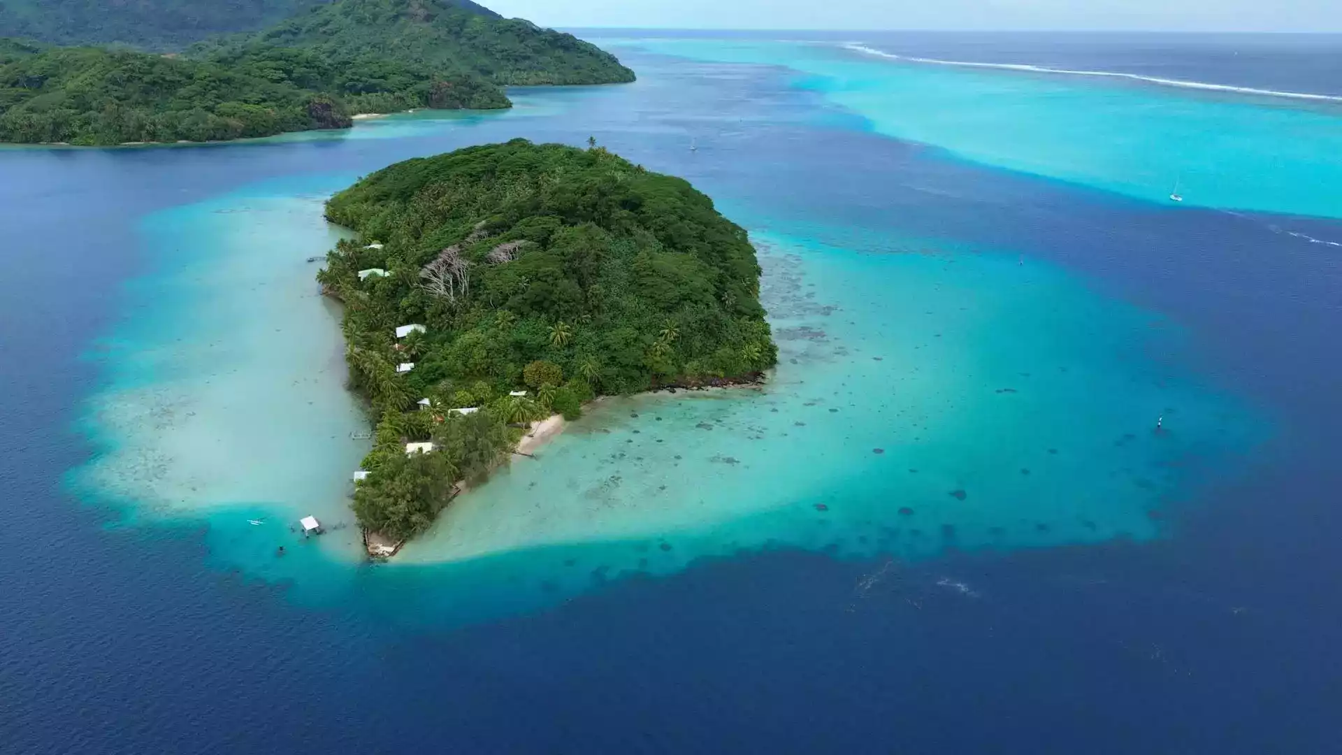 Motu jardin de corail Huahine excursion lagon Polynésie