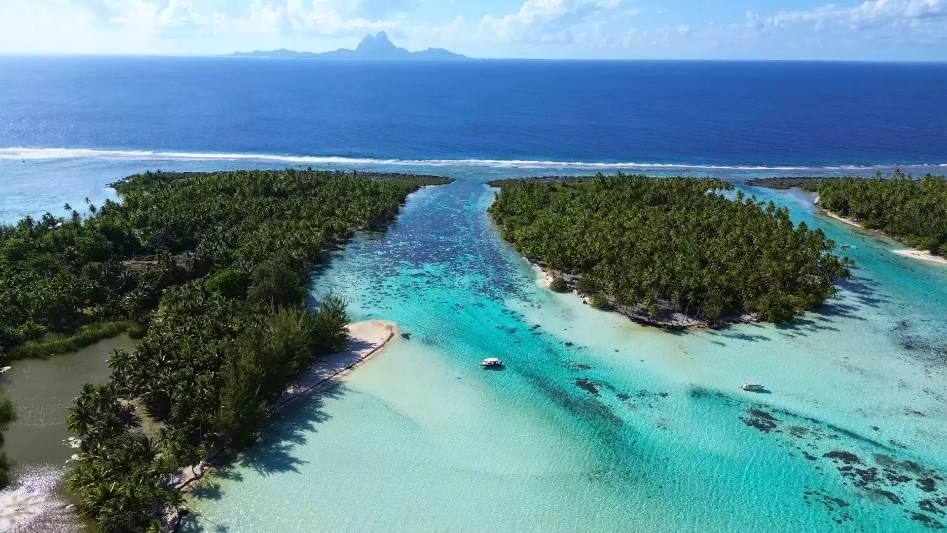Excursion lagon Raiatea Taha'a Polynésie