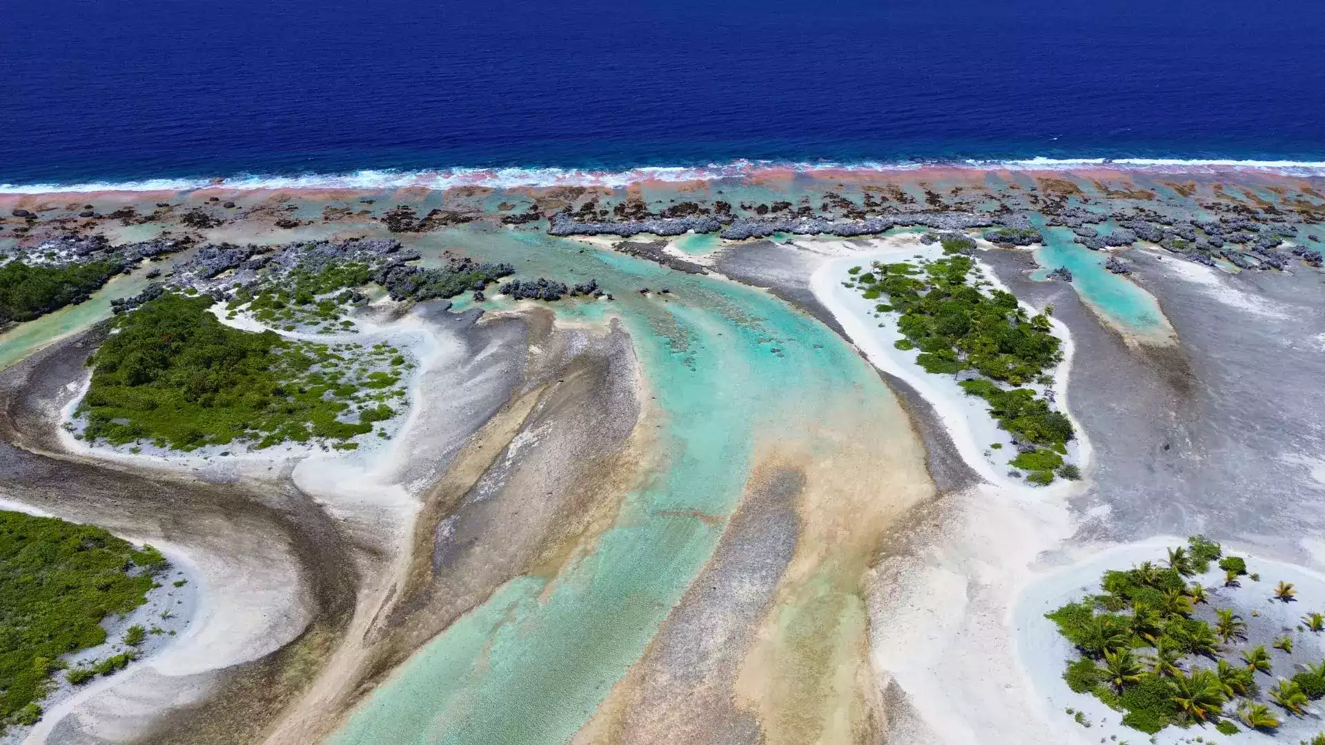 Île aux Récifs Rangiroa piscines naturelles feo sable rose Tuamotu