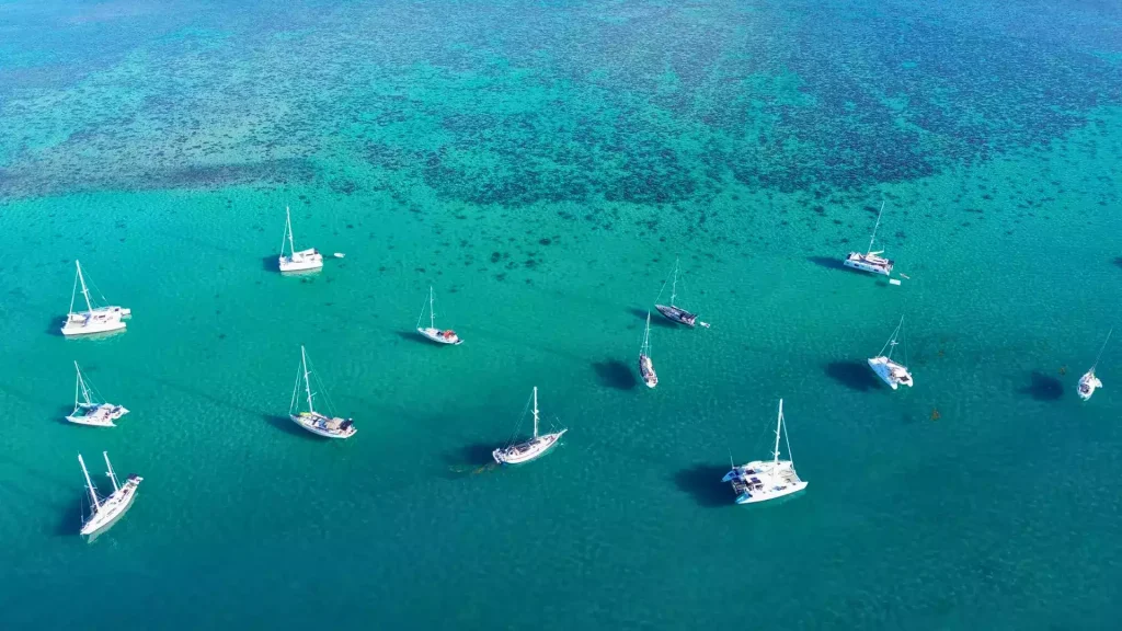 Voila Moorea catamaran lagon snorkeling raies requins tiki immergé