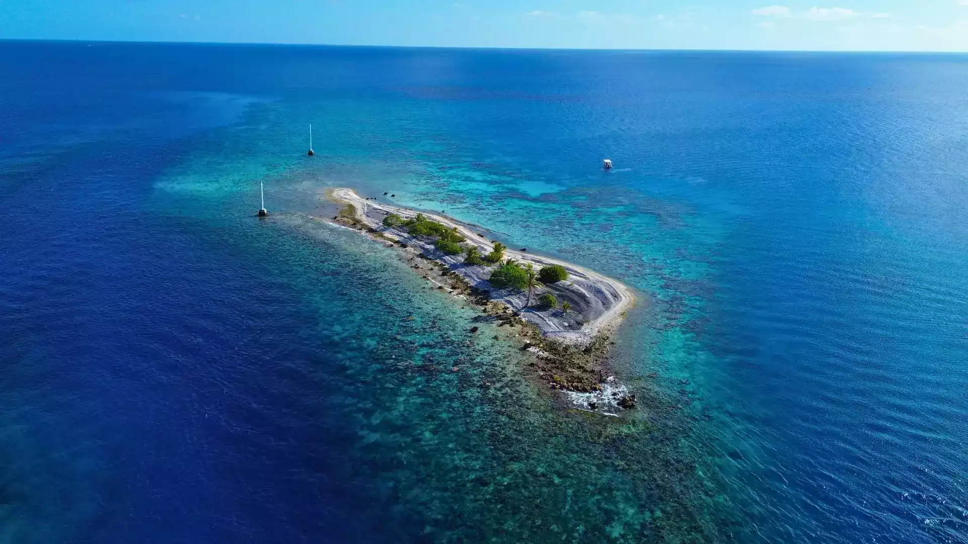 Aquarium Rangiroa snorkeling jardin corail poissons Tuamotu