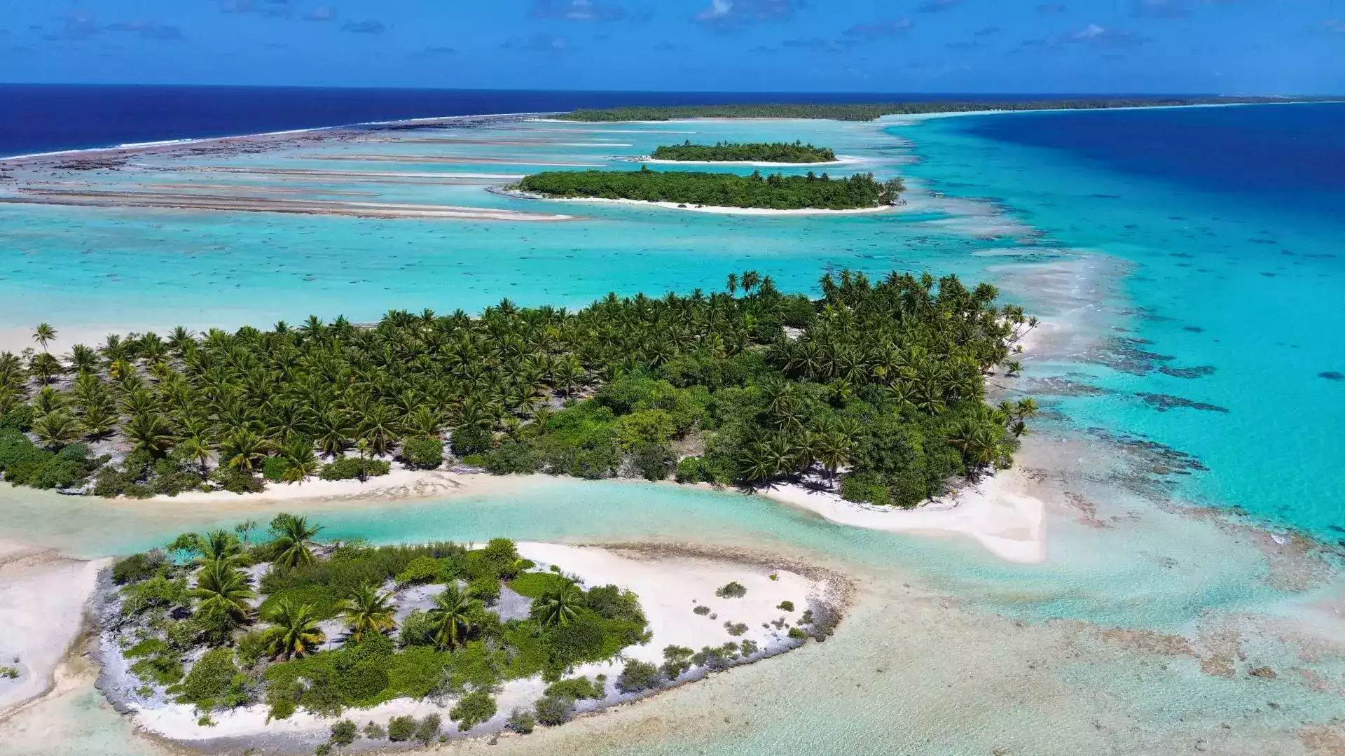 Manihi atoll perles plongée