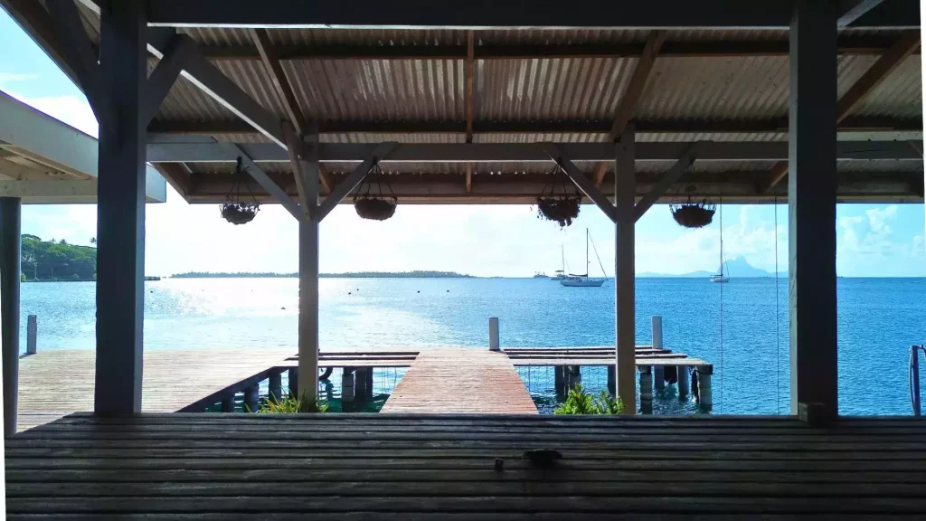 Perles noires Tahiti ferme perlière