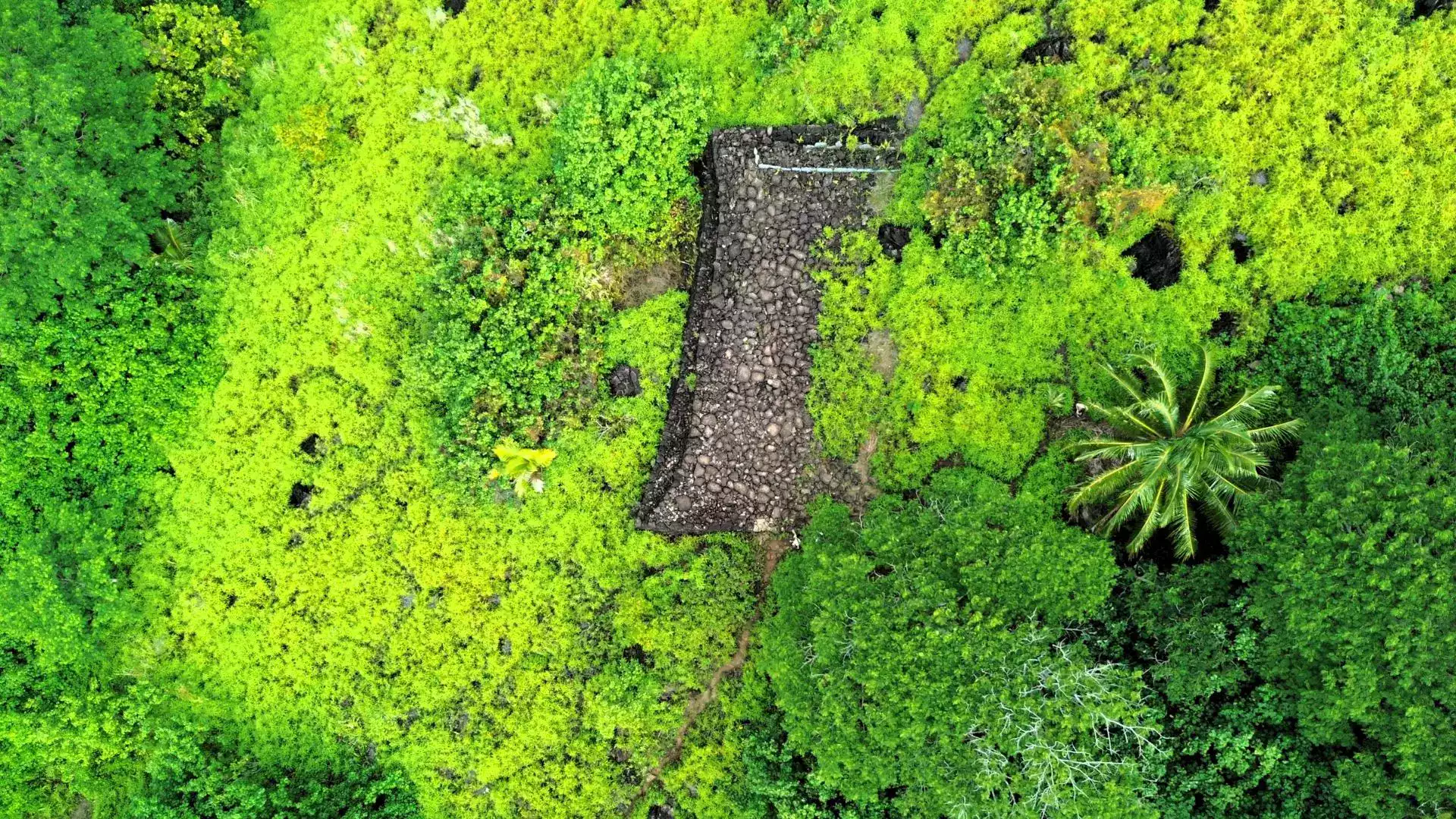 Marae Huahine site archéologique Polynésie française
