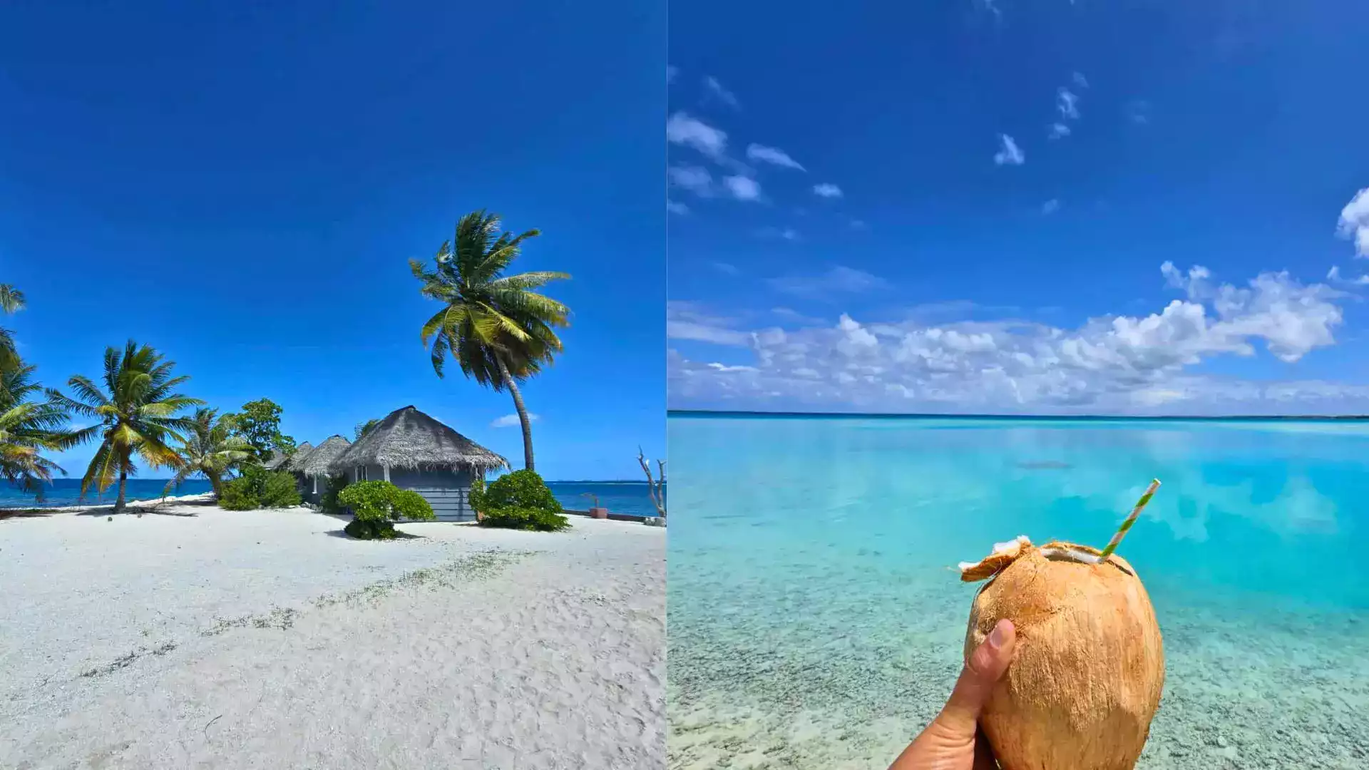Manihi atoll Tuamotu que faire activités Polynésie française