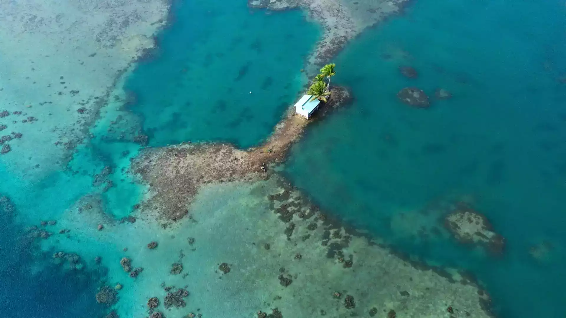 Pearl farm Apatoa Raiatea Taha'a lagoon tour French Polynesia