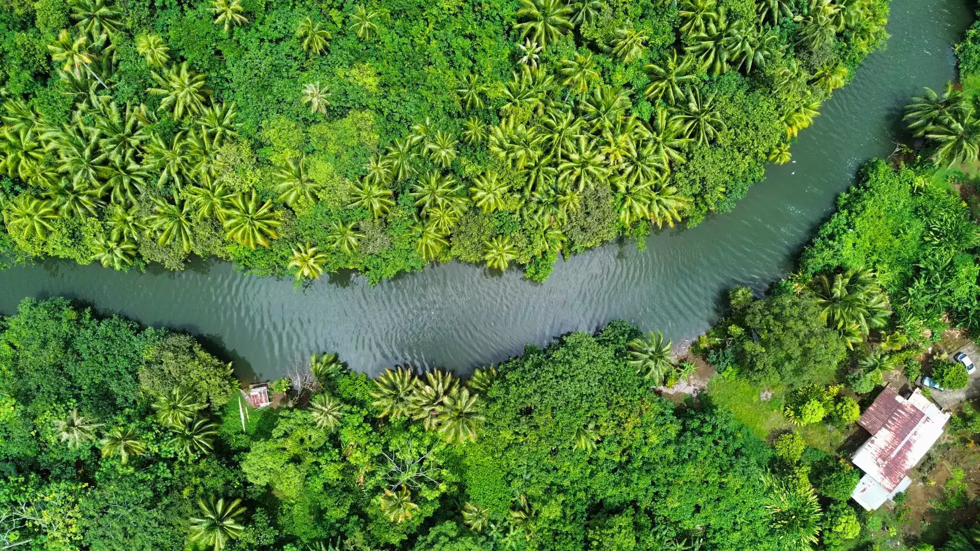 Faaroa river Raiatea navigable river French Polynesia lagoon tour