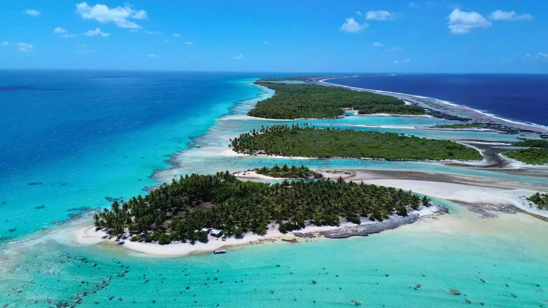 Rangiroa île aux récifs Tuamotu Polynésie française