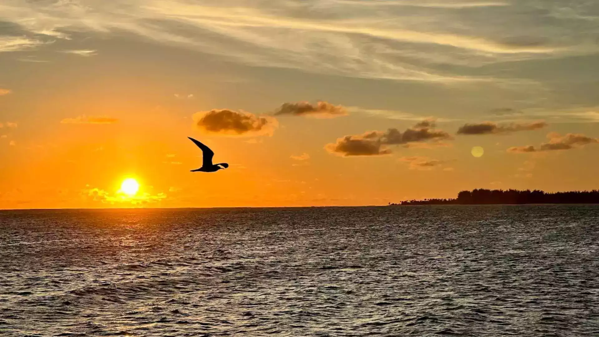Tetiaroa coucher de soleil atoll Polynésie française Marlon Brando