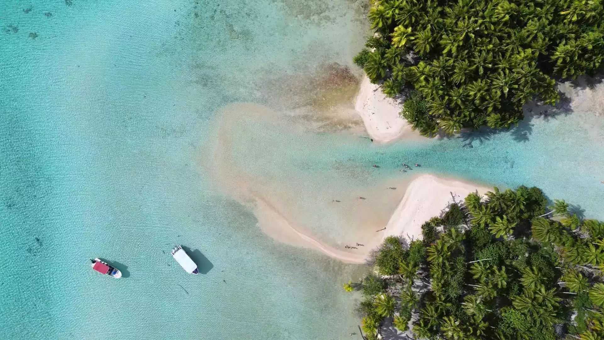 Pink sand beach Fakarava Tuamotu French Polynesia rose motu